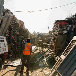 yard debris removal